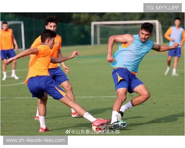 足球训练中的核心力量与稳定性训练